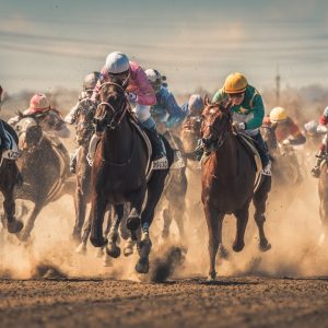 地方競馬から見える中央競馬予想の“盲点”